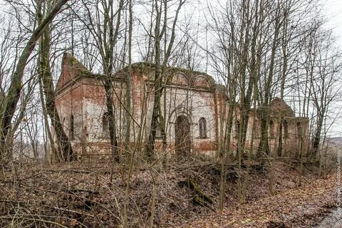Борщевка рыльского уезда