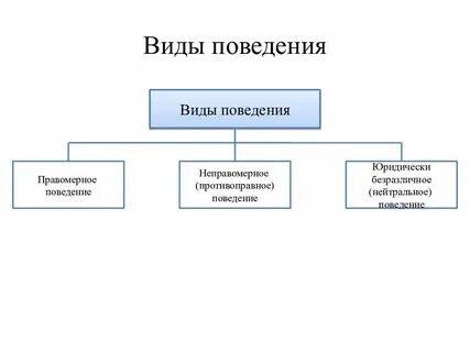 Разновидность картинок