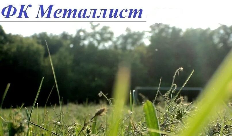 Поселок металлист лнр. Металлист амвросиевский район донецкой области. Посёлок металлист донецкая область. Борисовский завод металлист. Поселок металлист лнр.