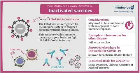 There’s very little data on the efficacy of Sinovac and Sinopharm vaccines ...