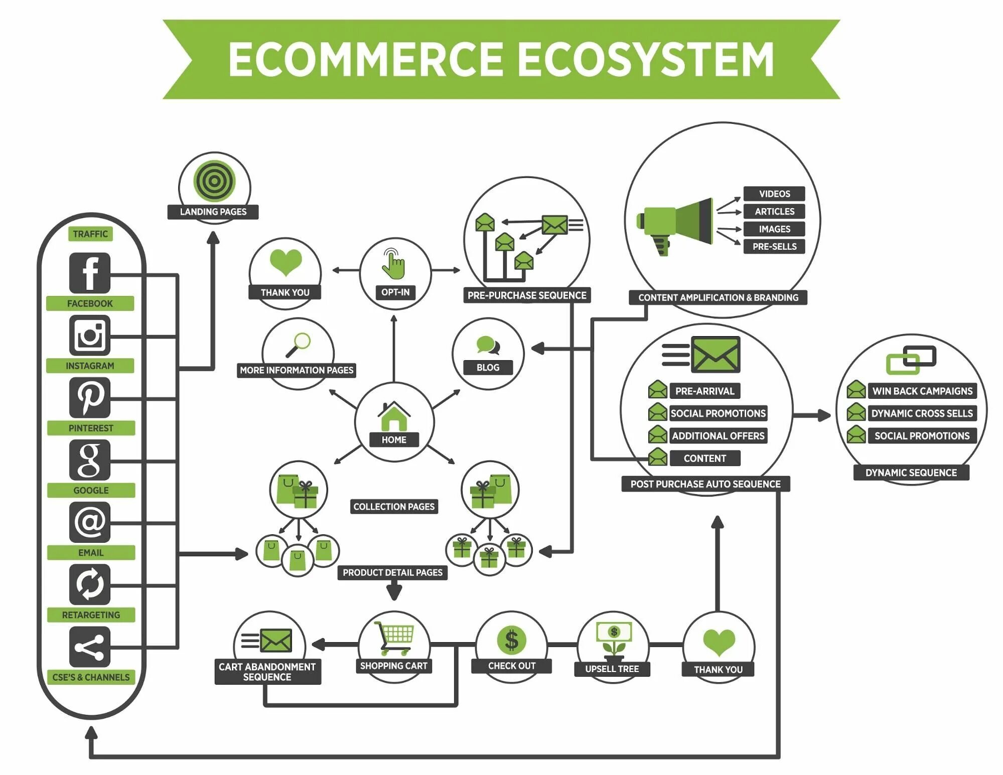 Экосистема электронной коммерции. Экосистема e Commerce. Экосистема электронной торговли в России. Цифровая экосистема. Цифровая экосистема тест