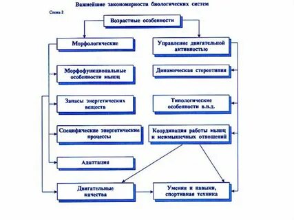 Физиологические основы времени