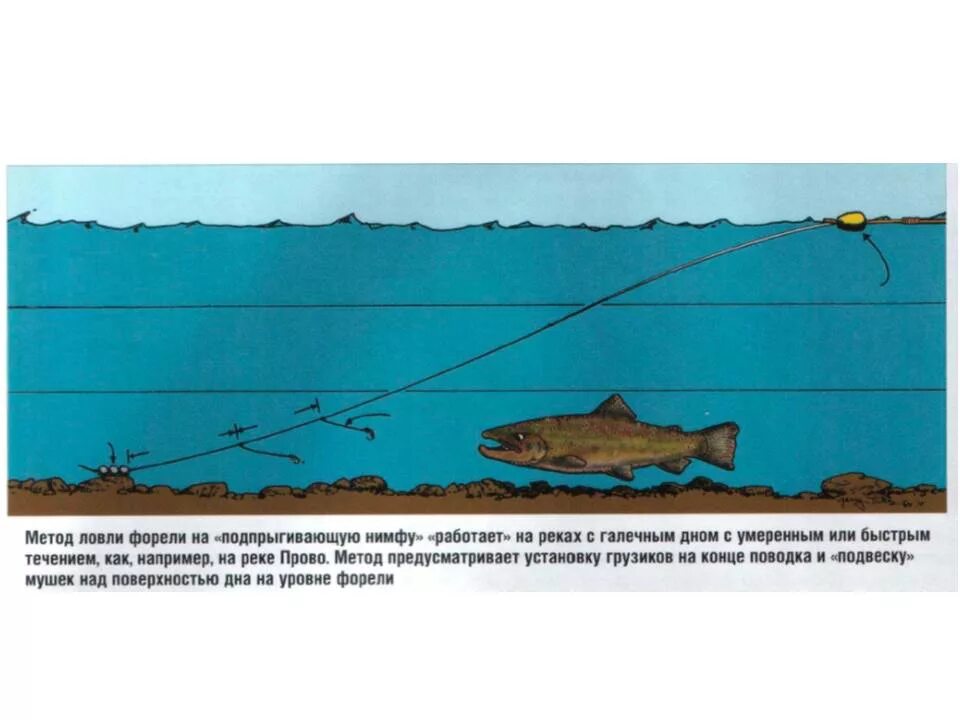 Образование донных отложений. Донной происхождение. Донной происхождение. Классификация донных отложений. Донные отложения.