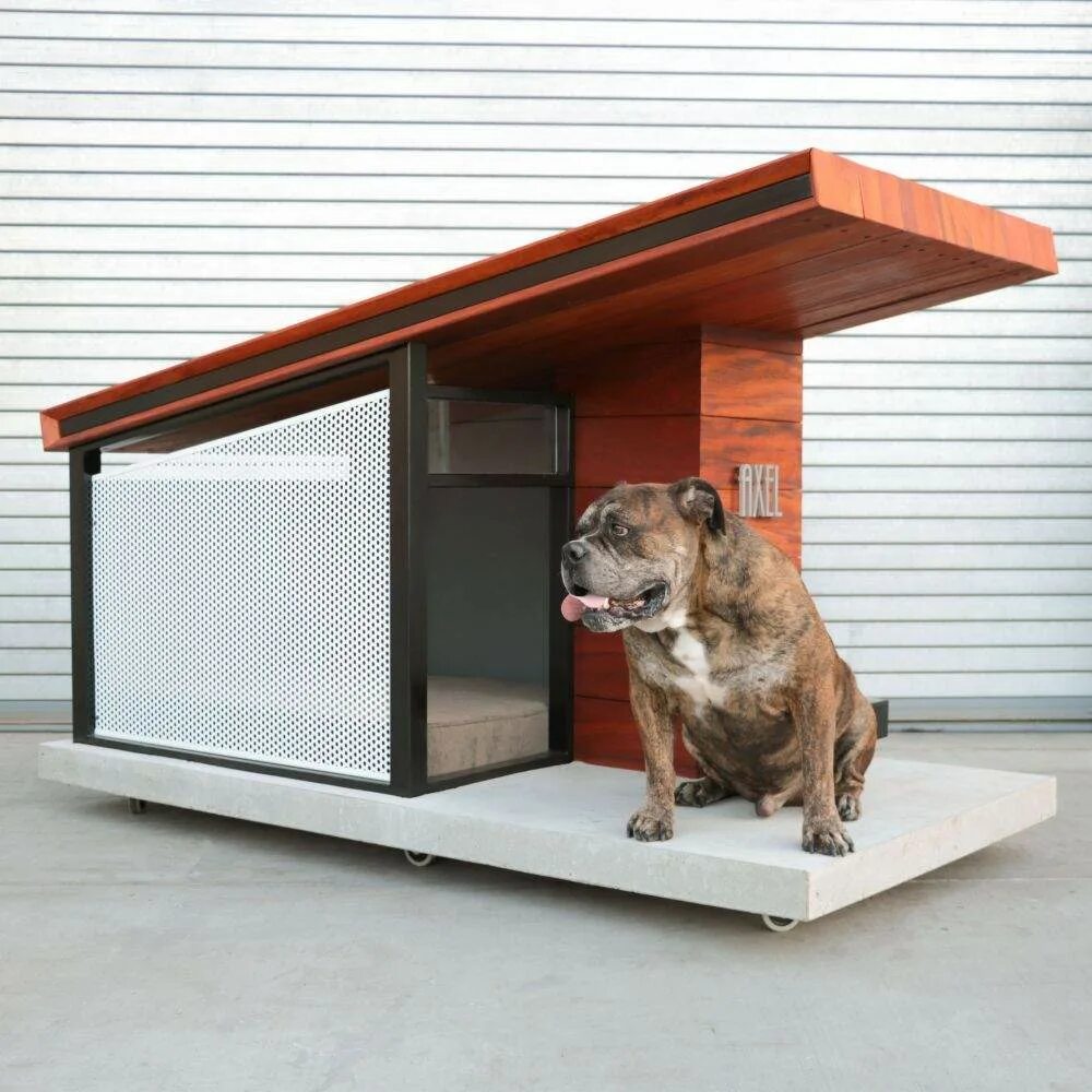 Собачья конура будка. Дизайнерские будки для собак. Красивые собачьи будки. Будки для больших собак.
