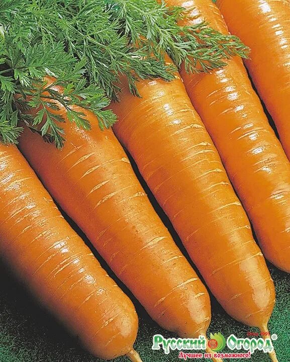 Морковь семена лучшие сорта для открытого. Семена морковь витаминная 6. Гавриш морковь витаминная 6. Семена морковь витаминная 6 на лентах. Морковь витаминная семена.