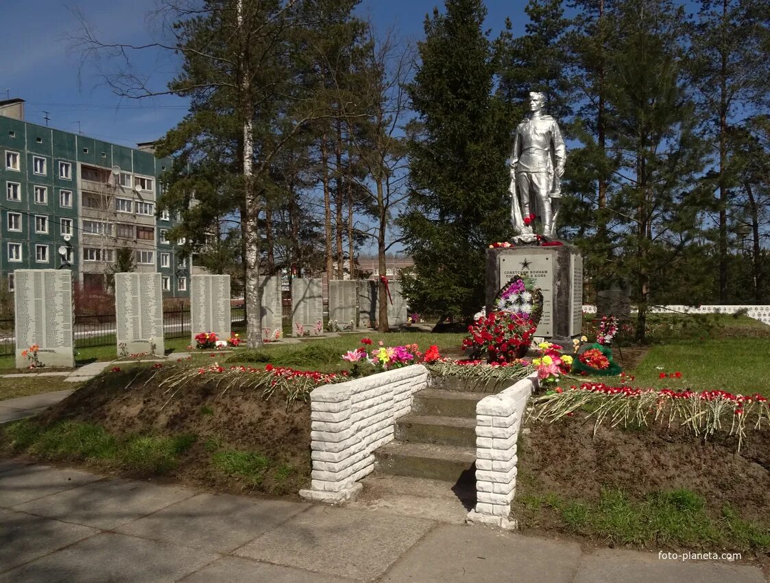 Погода ленинградской обл кировский район. Синявино 1 Ленинградская область. Синявино 1 Братская могила. Поселок Синявино Кировский район Ленинградская область. Братская могила Синявино 1 Ленинградская область.