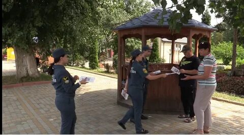 Зеленый остров омск 2024