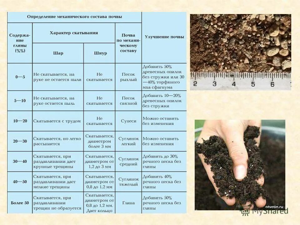 Малое количество гумуса в почвах тайги. Механический состав чернозема таблица. Состав почвы. Типы почв таблица. Почвенная характеристика почвы.