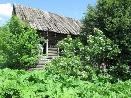 Шабалинский край
