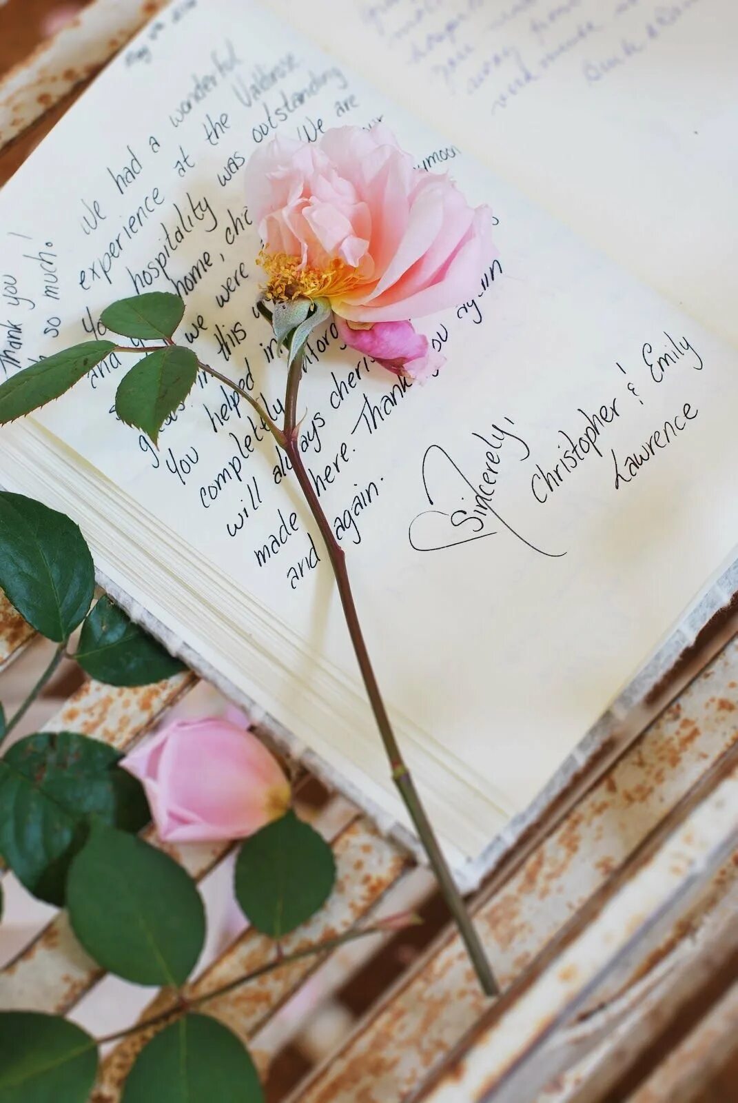 Самое нежное письмо. Красивое письмо. Книга цветы. Нежные послания. Открытка с книгой и цветами.