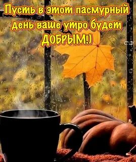 Открытка с добрым утром с дождем красивые