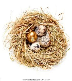 Nest gold