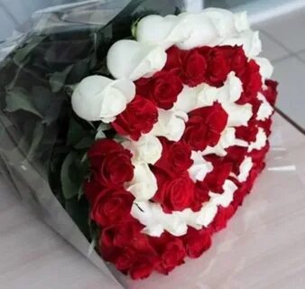 Дари 33 года