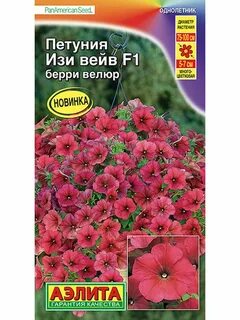Изи вейв берри