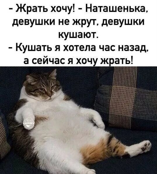 люблю наташу открытки. поздравление с днём рождения наалье. наташа с днем рождения стихи. я хочу жрать. поздравления с днём рождения наташе.