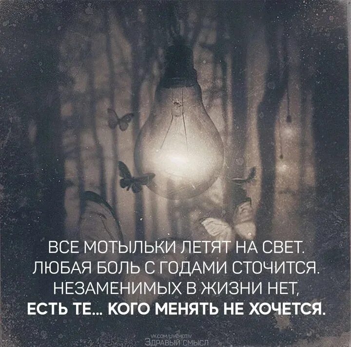 Лучше нету того свету. Незаменимых в жизни нет стих. Высказывания про свет. Цитаты про освещение. Мотыльки летят на свет любая боль с годами.