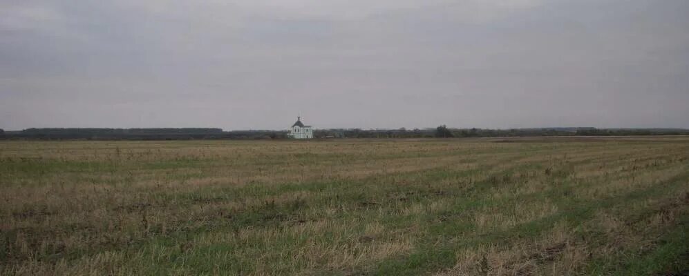 Воронцовка тамбовская область. Воронцовка тамбовская область. Воронцовка тамбовская область. Деревня воронцовка тамбовская область. Воронцовка тамбовская область.