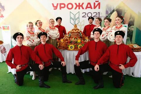 Урожай на кубани