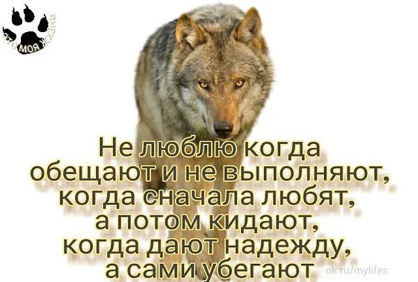 Обещание не забывай его 2. Цитаты про обещания. Обещать и не выполнять цитаты. Цитаты о выполнении обещаний. Высказывания про обещания людей.