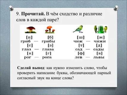 Парное слово 4 буквы