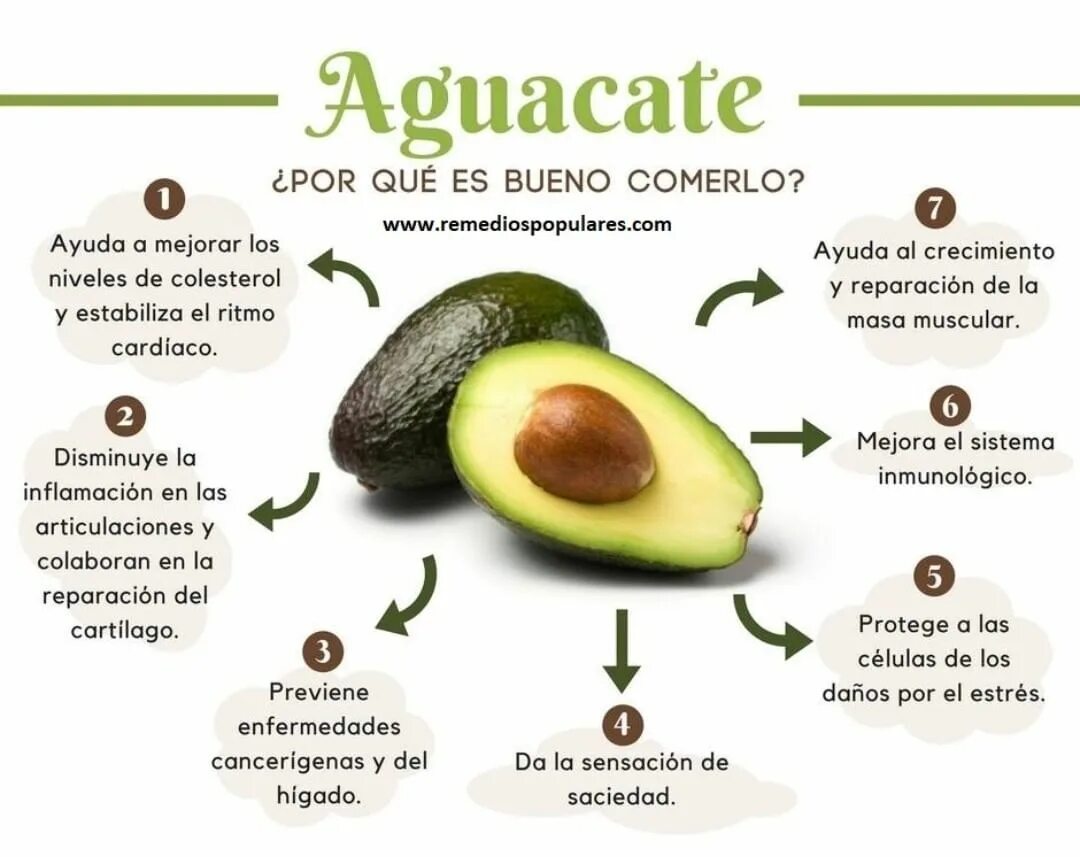 Para qué es bueno el aguacate