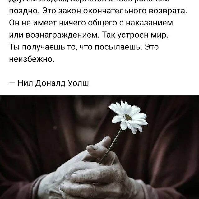 Иметь ничего общего с людьми. Любовь это не отношения а состояние. Развод афоризмы цитаты. Цитаты про ушедших людей из твоей жизни. Воображение это главный инструмент.