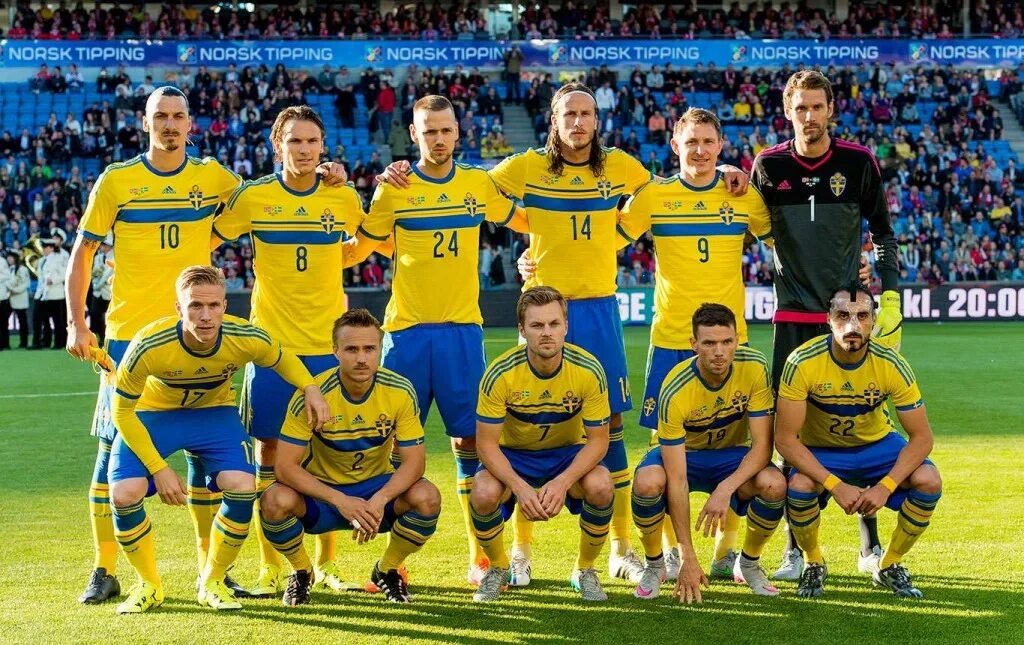 Сборная Швеции по футболу. Сборная Швеции по футболу состав. Команда сборной Швеции. Сборная Швеции по футболу 2018.
