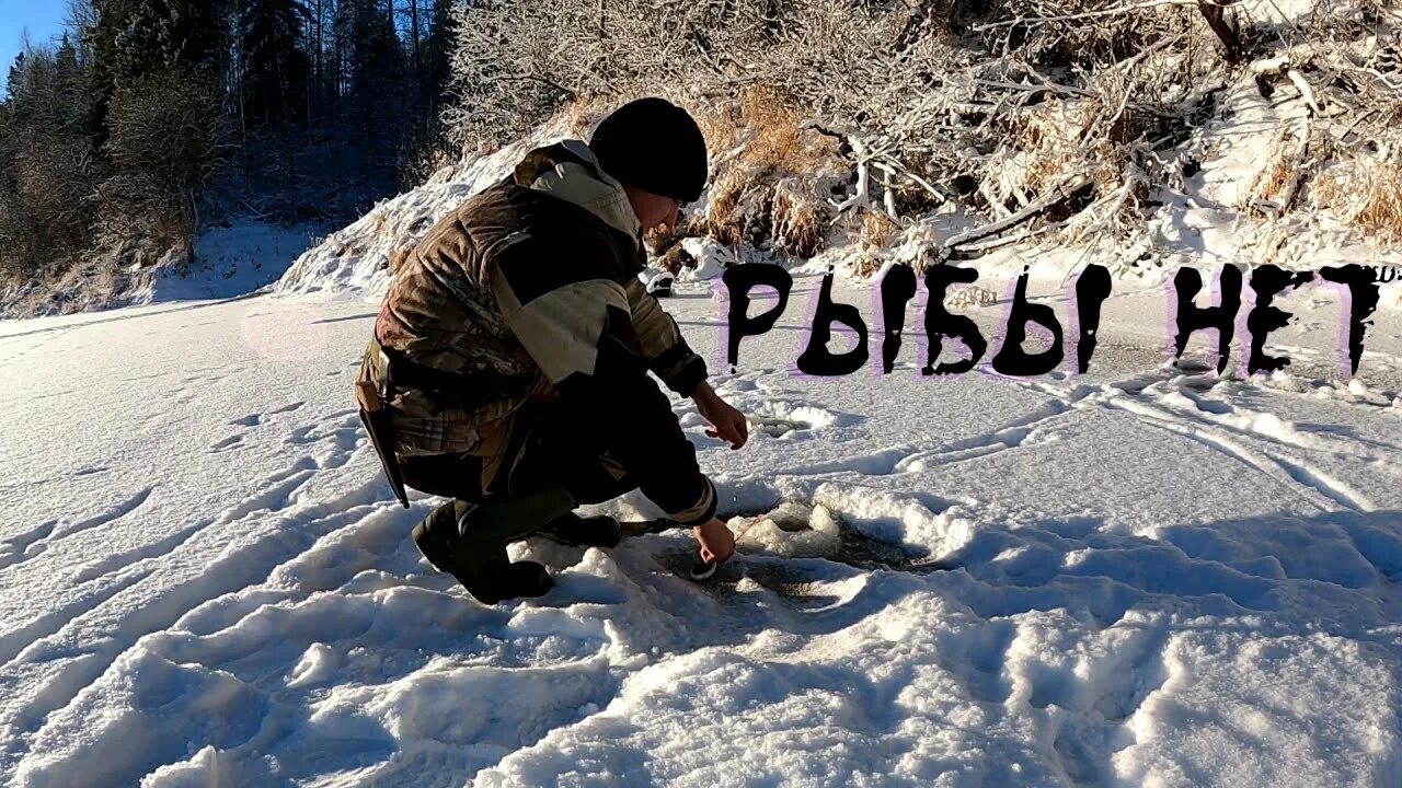 Находки в тайге сибири. Живем в сибири дзен. Живем в сибири дзен. Живем в сибири дзен. Живем в сибири дзен.