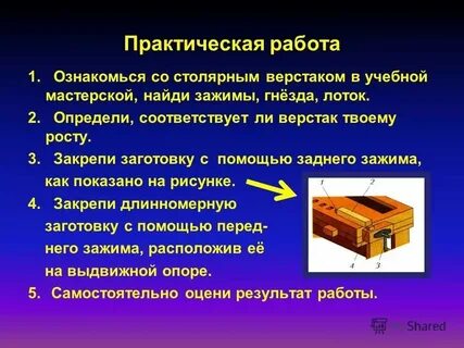 Сливовый кралась столяр