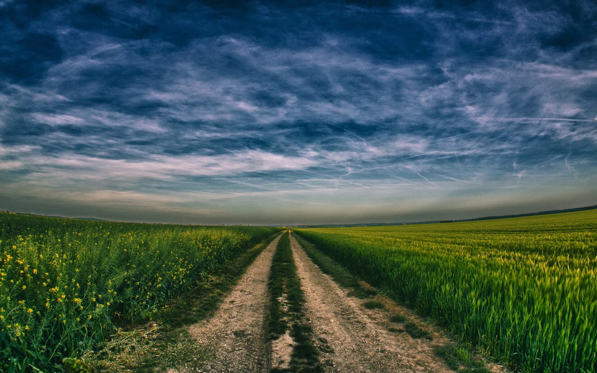 Random fields
