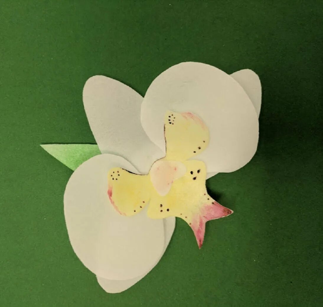 Орхидея из бумаги своими руками. Орхидея из цветной бумаги. Орхидея поделка из бумаги. Орхидея из бумаги. Орхидея фаленопсис мастер класс.