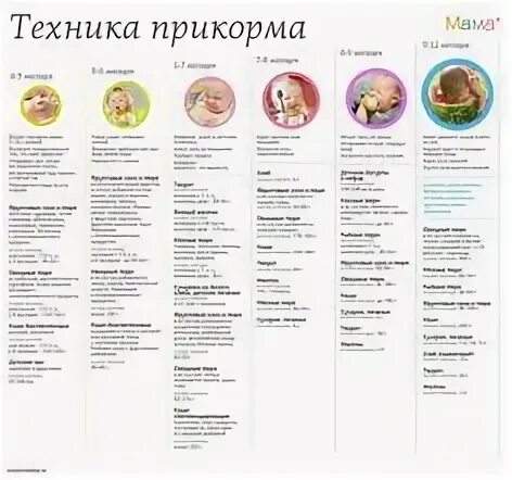 Рецепты для детей прикорм. Рецепты для детей прикорм