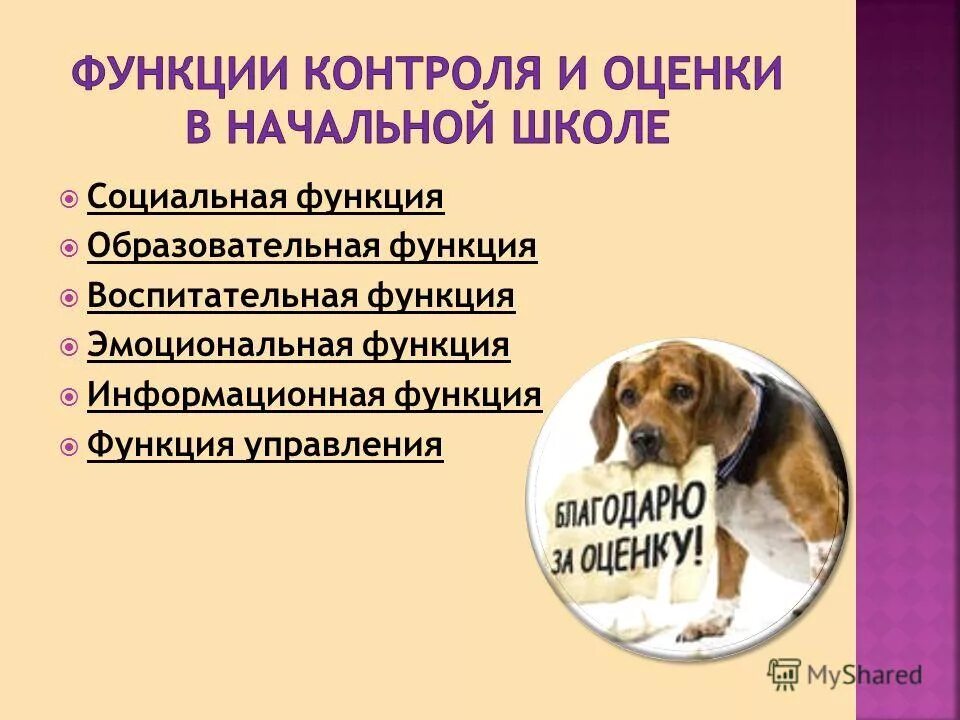 функции контроля и оценки в начальной школе. функции контроля и оценки в начальной школе. оценочные средства учебной деятельности школьников. виды контроля в школе. виды проверки в начальной школе.