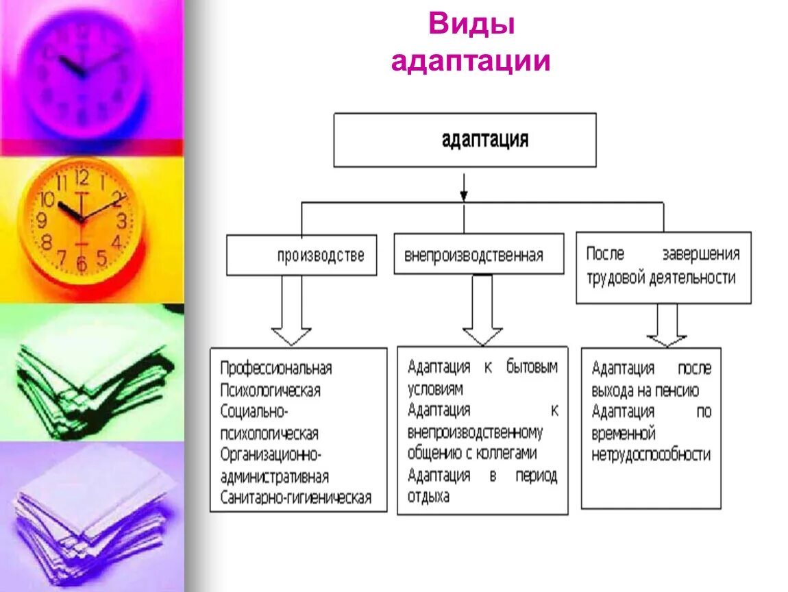 Какие бывают виды адаптации. Адаптация типы адаптации. Укажите виды адаптации:. Виды адаптации персонала. Какими бывают адаптации