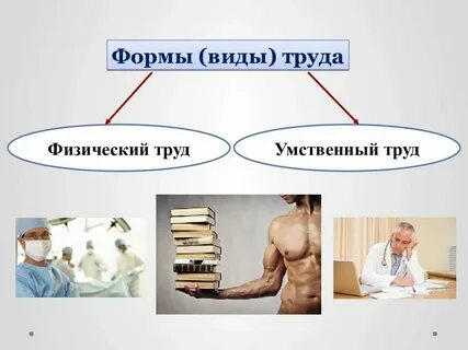 Труд это активность человека которая