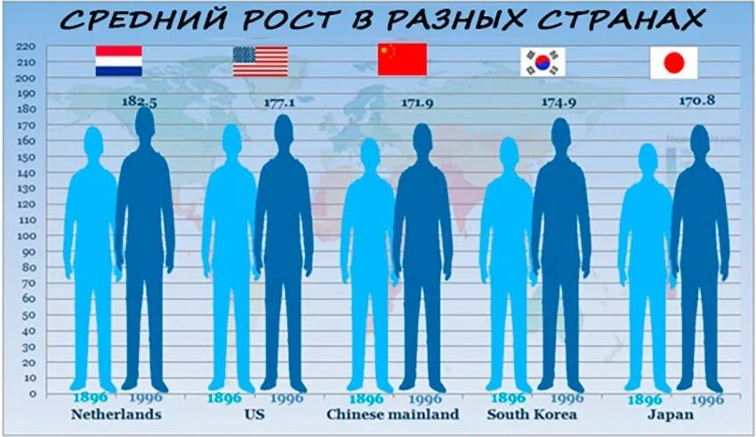 Какой рост у мужчин в россии. Средний рост человека. Средний рост мужчины. Средний мужской рост. 'Редний росрост в я понит.