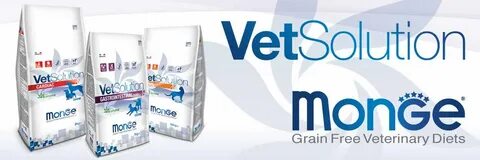 Monge vetsolution