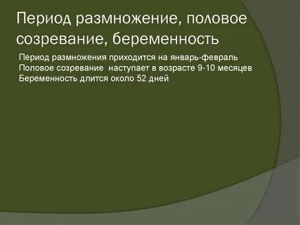 Период гнездования у беременных