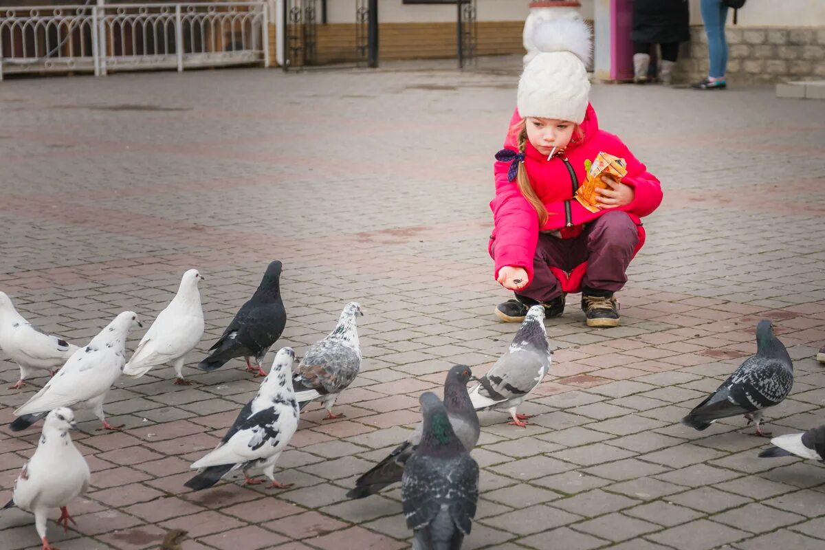 гуль гуль гуль гуль гуль гуль. гуль голубь мем. одноклассники гули гули гули. голубятни в москве. одноклассники гули гули гули.