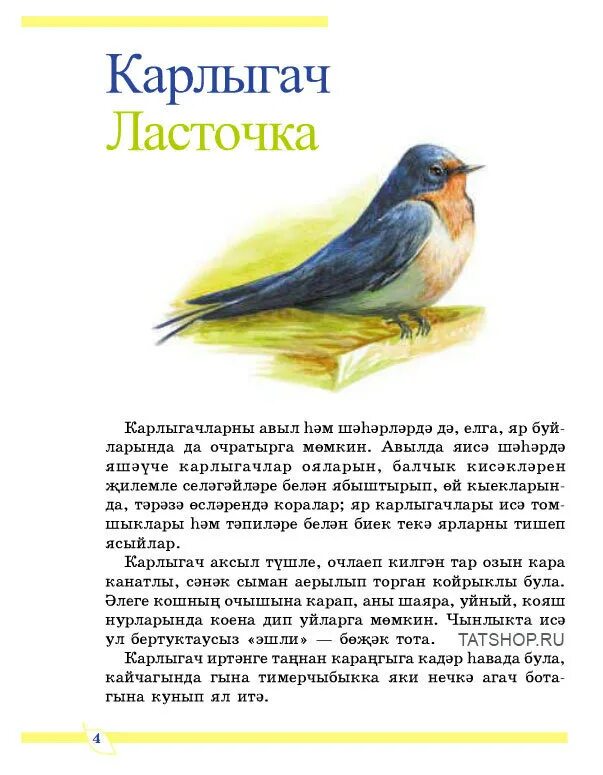 Перевод птиц с башкирского на русский. Птицы на татарском языке. рассказ о птице на татарском языке. птицы на башкирском язвк. описание птиц на татарском языке.