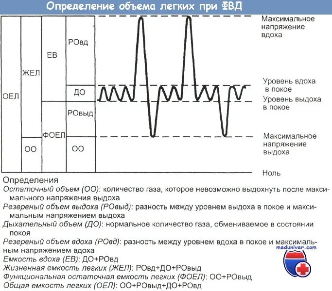 Измерение остаточного объема легких. Остаточный объем легких. Определение остаточного объема легких. Как определить остаточный объем легких. Емкость вдоха это