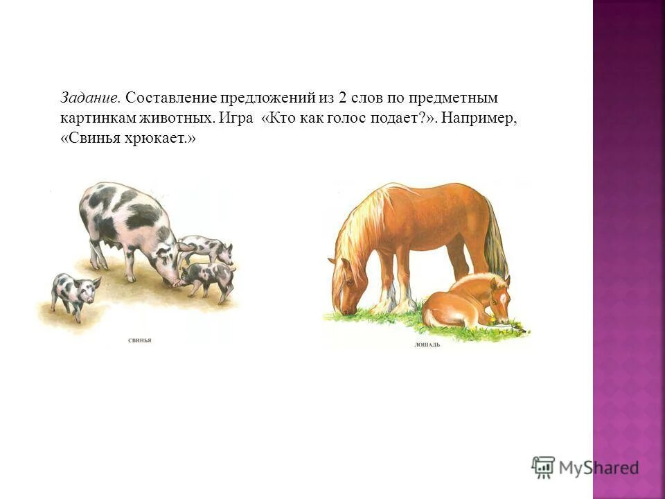 Предложение со словом зверь. Предложение животные. Предложение по теме домашние животные. Предложение со словом животные. Составление предложений по картинкам.