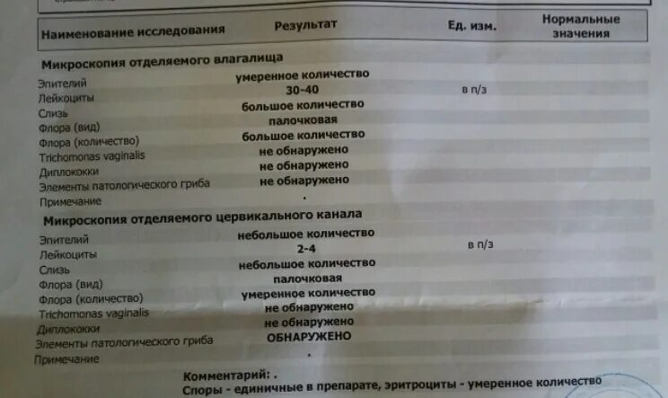 Исследование мокроты микроскопия норма. Исследование отделяемого уретры. Исследование отделяемого уретры расшифровка. Микроскопия отделяемого цервикального. Гомогенная слизь