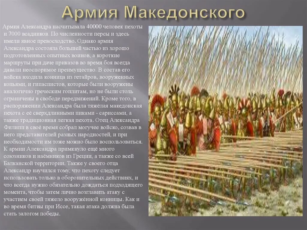 В чем причина военных побед филиппа македонского. Численность армии Филиппа Македонского.