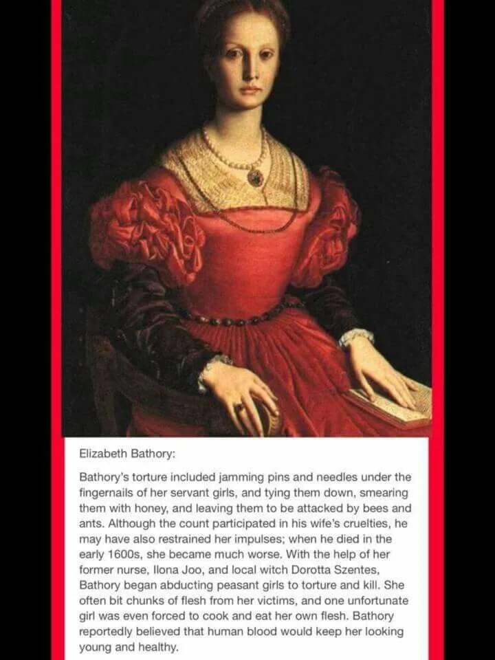 Графиня Элизабет Батори. Эржебет Батори портрет. Реальная история батори