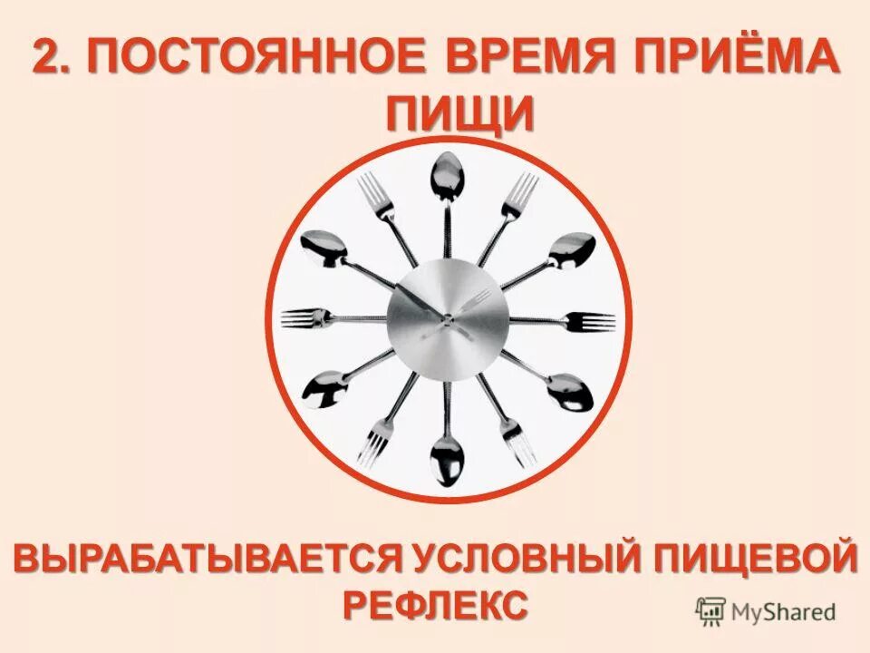 Время приема пищи. Промежутки между приемами пищи. Во время приема пищи вырабатывается. Рефлекс во время приема пищи. Время приема душа