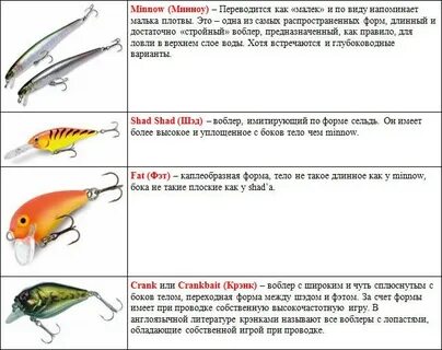 Как выбрать приманку