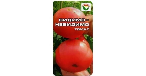Сорт видимо невидимо томат. Сорт помидор видимо невидимо. сорт томатов видимо невидимо. помидоры видимо-невидимо описание. томат видимо невидимо сибирский сад.
