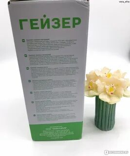 Гейзер 311