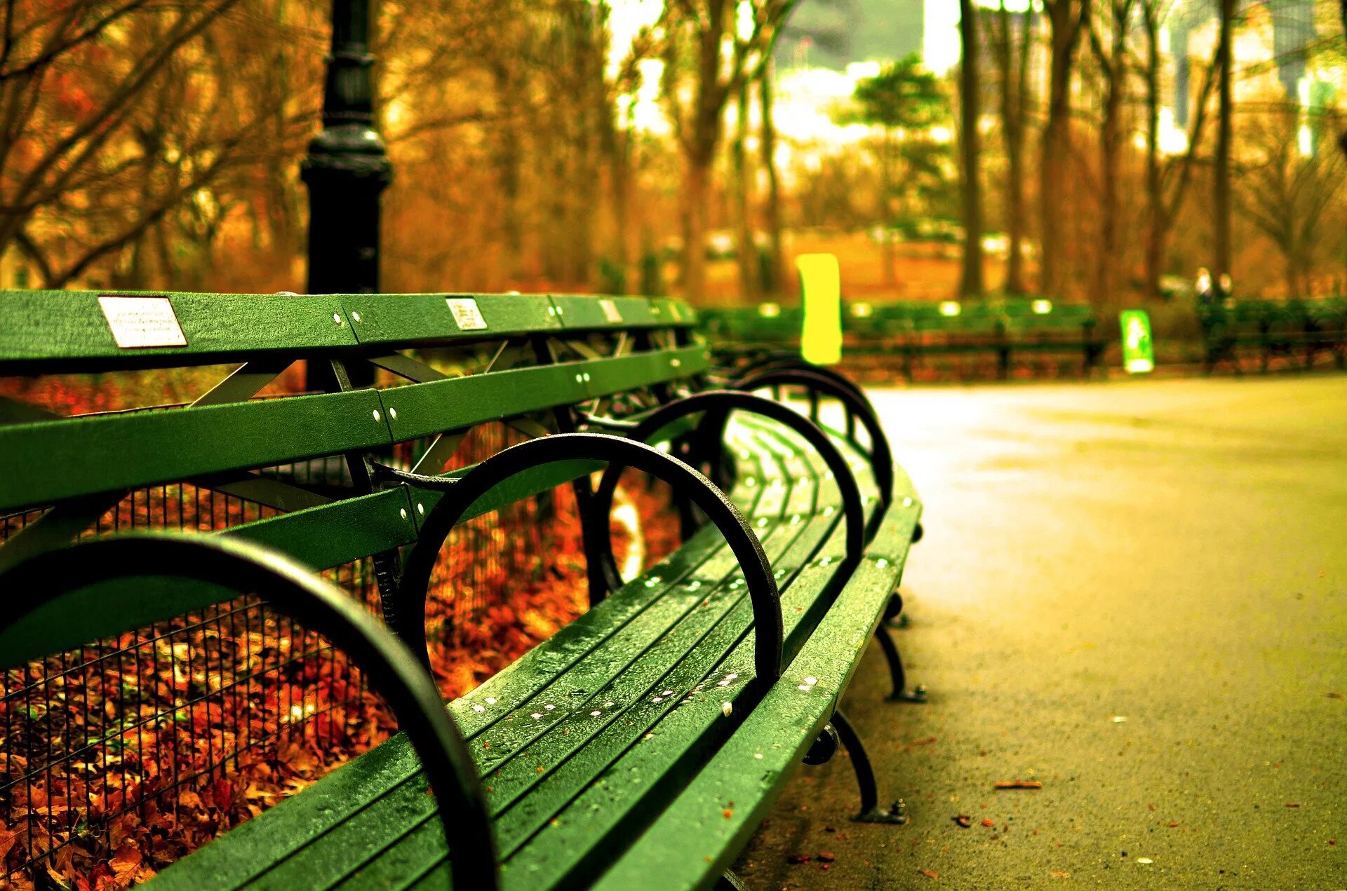 Слайд парк. Лавочки центрального парка Нью Йорка. Центр парк Нью-Йорк. Центральный парк Нью-Йорк лавки. Скамейка парк Нью Йорк.
